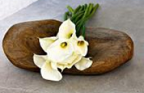 Sáng tạo từ gỗ nhặt 