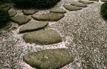 Thổi hồn vào sỏi cát