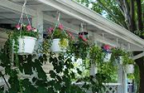 Vườn treo cho nhà thêm xanh