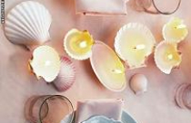 Trang trí nhà với vỏ sò, vỏ ốc