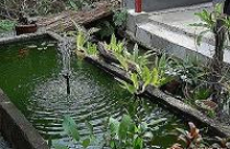 Khu vườn bí mật...