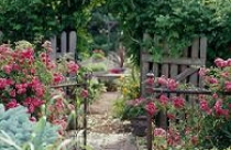 Vùng Ngoại Ô, Tôi Có Cổng Nhà Xinh