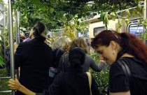 Khu vườn di động trên tàu ngầm 