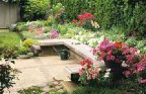 Lối đi trong vườn 