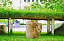 Văn phòng bị thực vật đánh chiếm