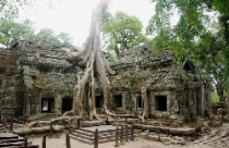 Ta Prohm - vẻ đẹp của sự hoang tàn 