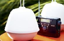 Thêm nét quyến rũ cho khu vườn nhỏ