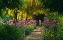 Khu vườn xinh xắn