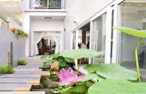 Thu hút sinh khí vào nhà 