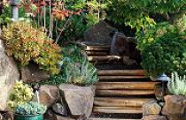 Lối nhỏ trong vườn