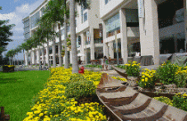 Ngắm miễn phí “hàng độc” trong HHX Phú Mỹ Hưng