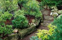 Lối nhỏ trong vườn (phần 2) 