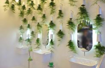 Đem thiên nhiên vào phòng tắm 