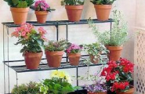 Khu vườn di động 