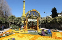 Ngắm các tác phẩm điêu khắc bằng chanh và cam 