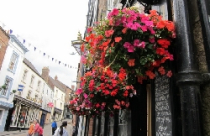 Giỏ hoa treo làm duyên cho ngoại thất