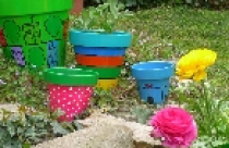 Khu vườn “bảy sắc cầu vồng” 