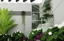 Dụng Mộc theo Phong thủy để đều tiết luồng khí cho nhà 