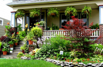 Làm vườn để mang thiên nhiên vào trong nhà phố