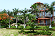 Trồng cây xanh trong vườn phù hợp phong thủy