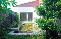 Nhà nhiều vườn