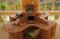 Trang trí cây xanh nơi làm việc cũng phải đúng cách