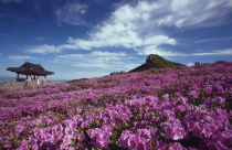 Sững sờ với 50 điểm đến “ma mị” ở Hàn Quốc (P2)