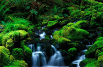 Cần chọn hướng treo tranh