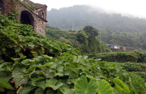 Những điểm đến ít đông đúc ở miền Bắc dịp lễ 30/4