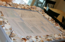 Trang trí nhà tuyệt đẹp với những tặng phẩm của biển