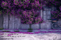 Đưa ngôi nhà xích lại gần với thiên nhiên