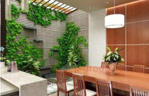 Kết hợp hoàn hảo giếng trời với tiểu cảnh tăng thêm tài lộc