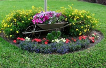 10 ý tưởng trang trí sân vườn từ xe cút kít