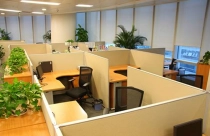 Những mẹo nhỏ giúp kinh doanh thuận lợi