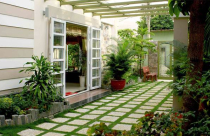 Những lưu ý khi tạo không gian xanh cho nhà phố