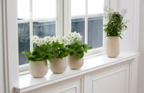 Bí quyết bố trí, sắp xếp nhà ở giúp cải tạo vận mệnh