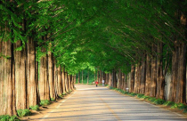 Những mẹo phong thủy giúp gia chủ có nhiều tài lộc trong năm 2016