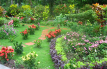 Thiết kế sân vườn theo phong thủy