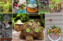 Ý tưởng trang trí dành cho bạn yêu thích làm vườn