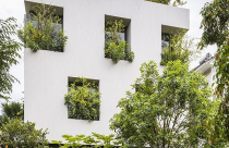 Nhà Việt nhỏ hẹp tràn ngập cây xanh như công viên trên báo ngoại