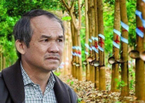 Trong vòng xoáy thua lỗ nghìn tỷ, bầu Đức quyết “sống chết” với cây ăn quả