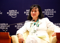 [Hồ sơ doanh nhân] Đặng Thị Hoàng Yến, người sáng lập tập đoàn Tân Tạo