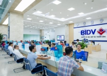 BIDV báo lãi trước thuế hơn 7.000 tỷ đồng