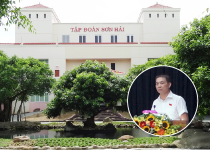 Sơn Hải trúng thầu tuyến cao tốc Nha Trang - Cam Lâm