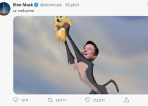 Chán Bitcoin, các nhà đầu tư đang theo Elon Musk mua Dogecoin