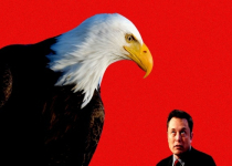 Elon Musk bị điều tra vì cáo buộc thao túng tiền điện tử