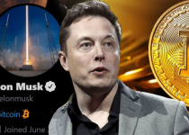 Tesla mất sạch lãi khi Bitcoin giảm còn 30.000 USD, Elon Musk vội vàng 'hà hơi thổi ngạt' để chặn đà lao dốc