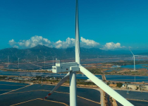 Gia đình tỷ phú Philippines và BIM Group vận hành trang trại điện gió 155 triệu USD tại Ninh Thuận