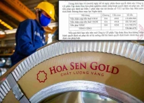 Hoa Sen bị cơ quan thuế truy thu hàng tỷ đồng