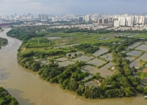 Diễn biến mới vụ tranh chấp liên quan siêu dự án 92 ha giữa Quốc Cường Gia Lai và Sunny Island